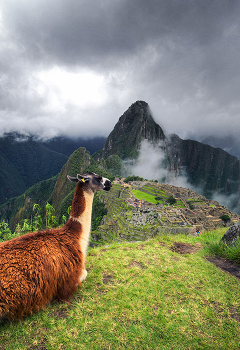 machu picchu